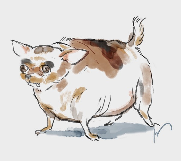 600x532 Project 365 Draw The Line Fat Chihuahua