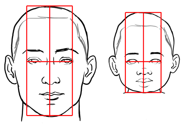 598x414 Mastering Proportions Drawing A Child's Face