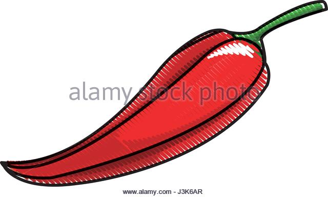 640x384 Chili Pepper Drawing Stock Photos Amp Chili Pepper Drawing Stock