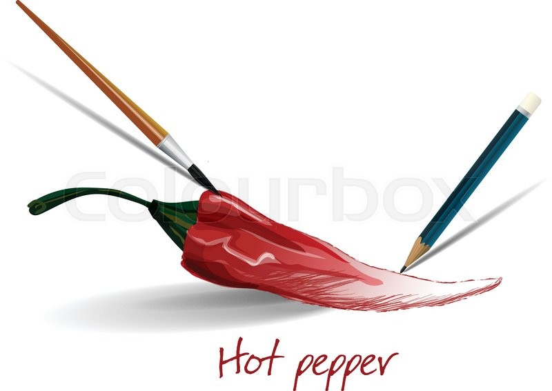 800x567 Hot Chili Pepper, Drawing Pencil And Brush. Vector Illustration