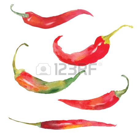 450x450 Set Of Red Chili Pepper Drawing By Watercolor Hand Drawn Vector