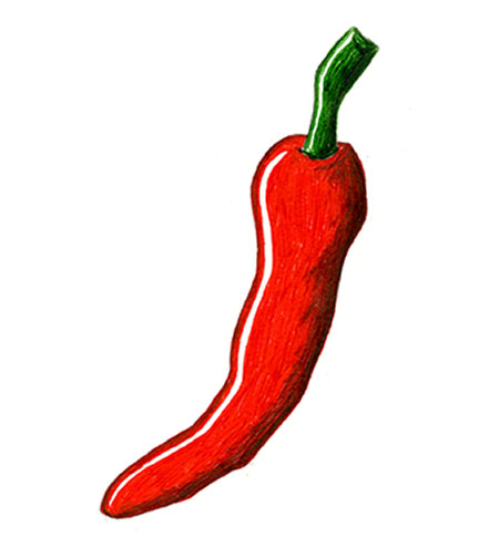 432x504 Chilli Pepper Creativeliz