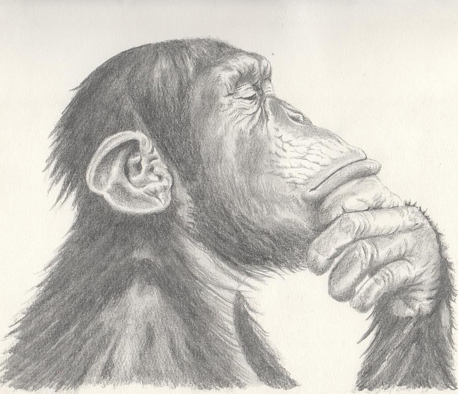 900x776 The Great Thinker Drawing By Michel Kress