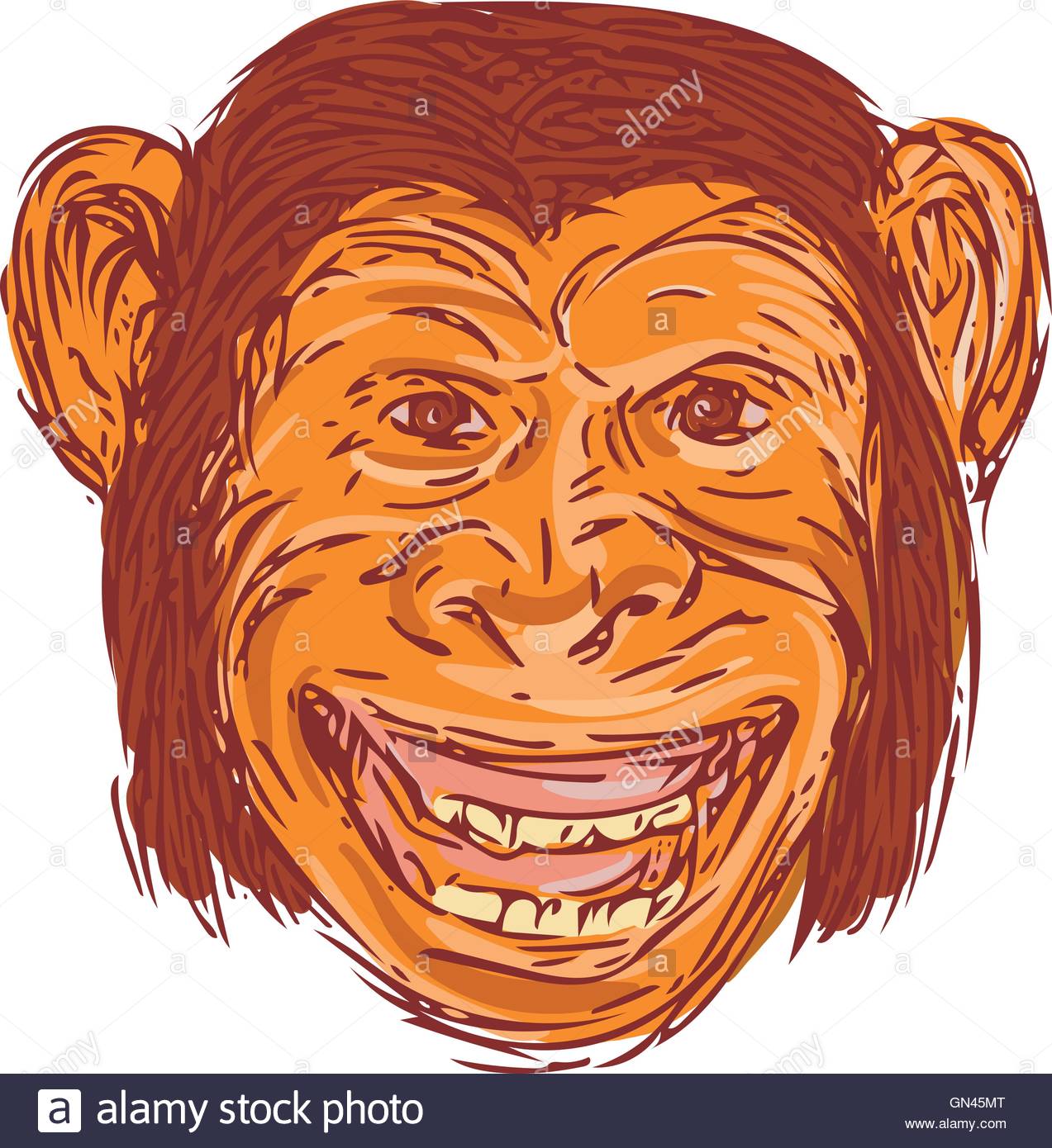 1273x1390 Chimpanzee Head Front Isolated Drawing Stock Vector Art