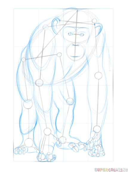 429x575 How To Draw A Chimpanzee Step By Step Drawing Tutorials