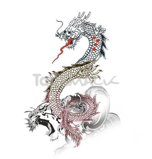 528x550 Sampoerna Poetra Chinese Dragon Tattoo Drawing