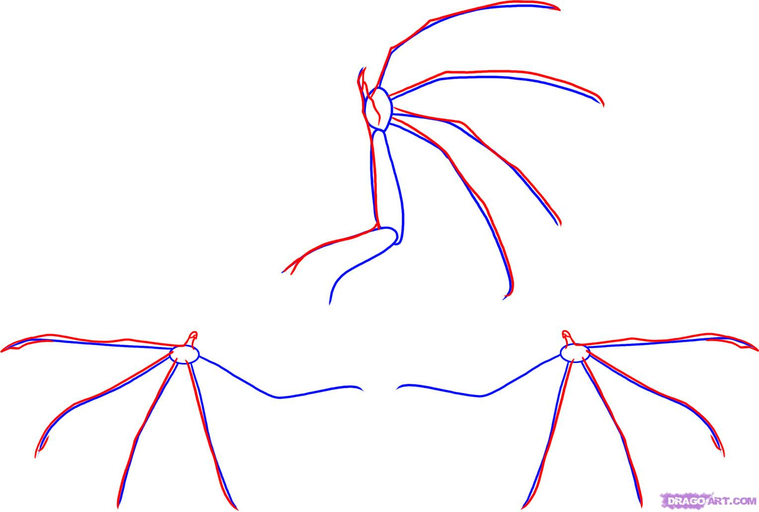 1528x1031 How To Draw Dragon Wings Drawn Chinese Dragon Wing