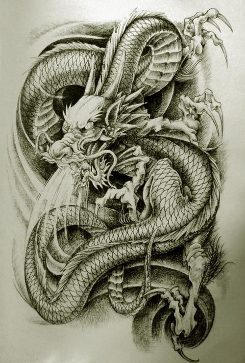 Chinese Dragon Tattoo Drawing at GetDrawings | Free download