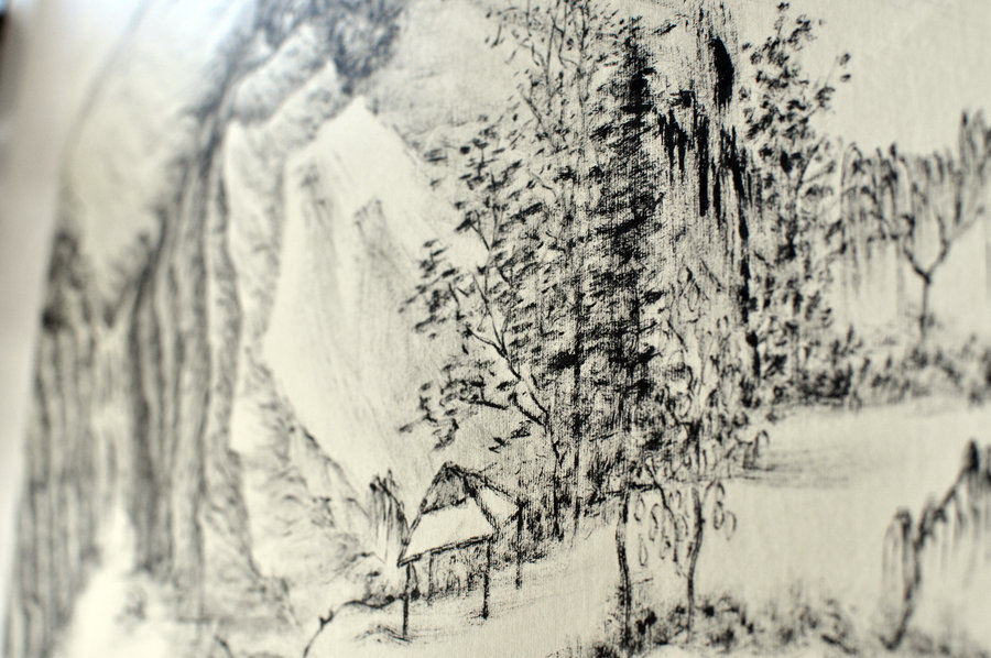 900x598 Chinese Drawing By Adnanwolf