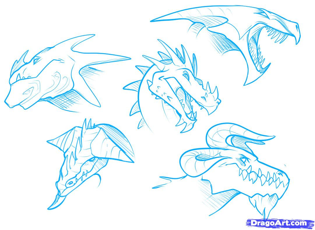 1081x790 Dragon Head Drawings How To Draw Dragon Heads, Stepstep, Dragons