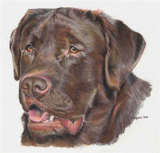 640x612 Colored Pencil Artwork