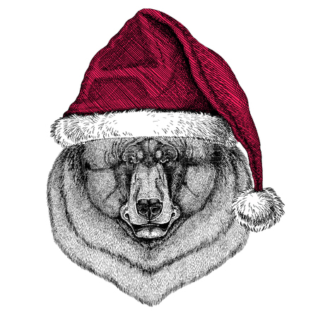 450x450 Bear Pencil Drawing Stock Photos. Royalty Free Business Images