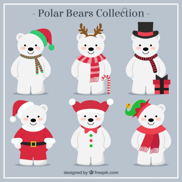 626x626 Polar Bear Vectors, Photos And Psd Files Free Download