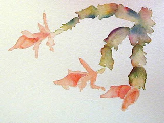 320x240 In And Out Of The Studio Christmas Cactus Study