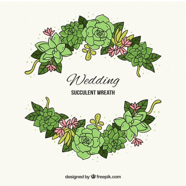 626x626 Succulent Vectors, Photos And Psd Files Free Download