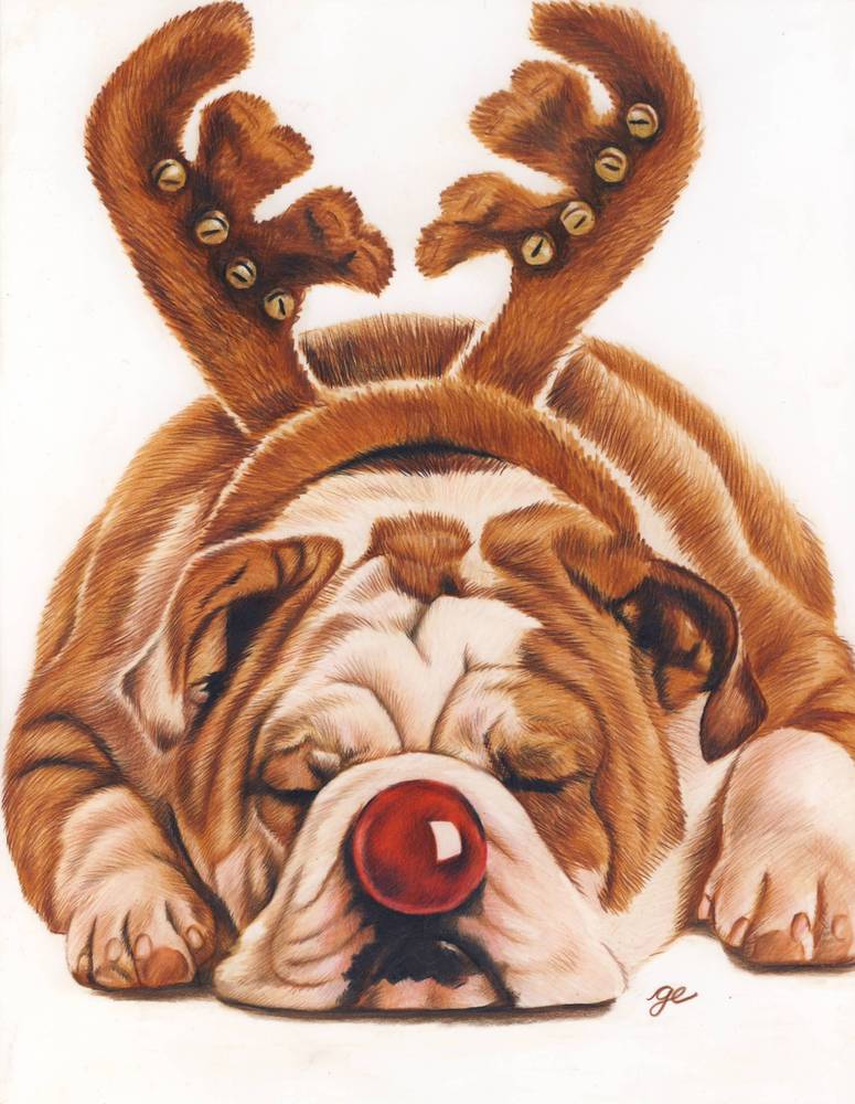 775x1000 Bulldog De Christmas Bulldog. Reproduction D'Un