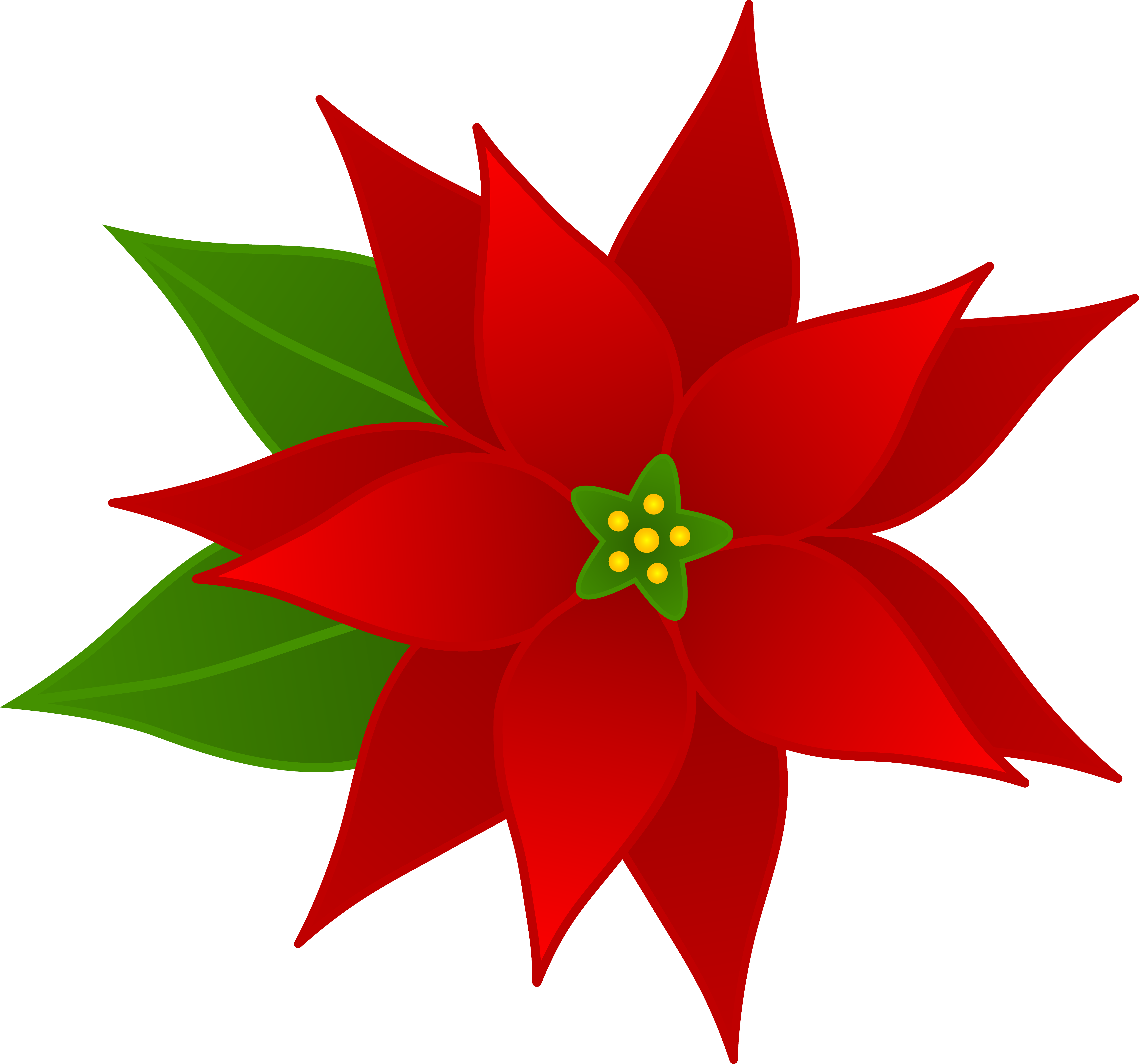5747x5369 Christmas Poinsettia Flower