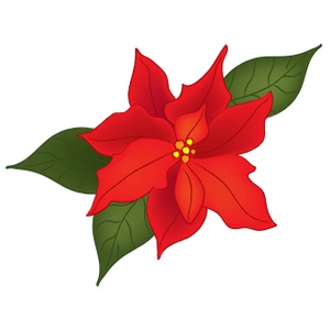 300x300 Poinsettia Clipart Image Poinsettia Flower Oh Jingles