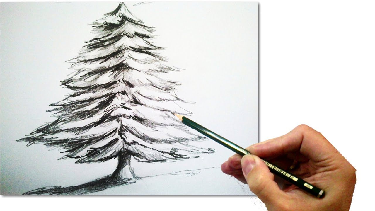 1280x720 How To Draw A Realistic Christmas Tree With Pencil