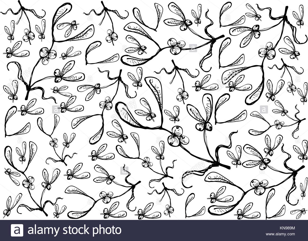 1300x1017 Background Illustration Hand Drawn Sketch Of Mistletoe Bunch