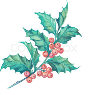 305x320 Christmas Mistletoe Branch Pencil Drawing. Vector Illustration