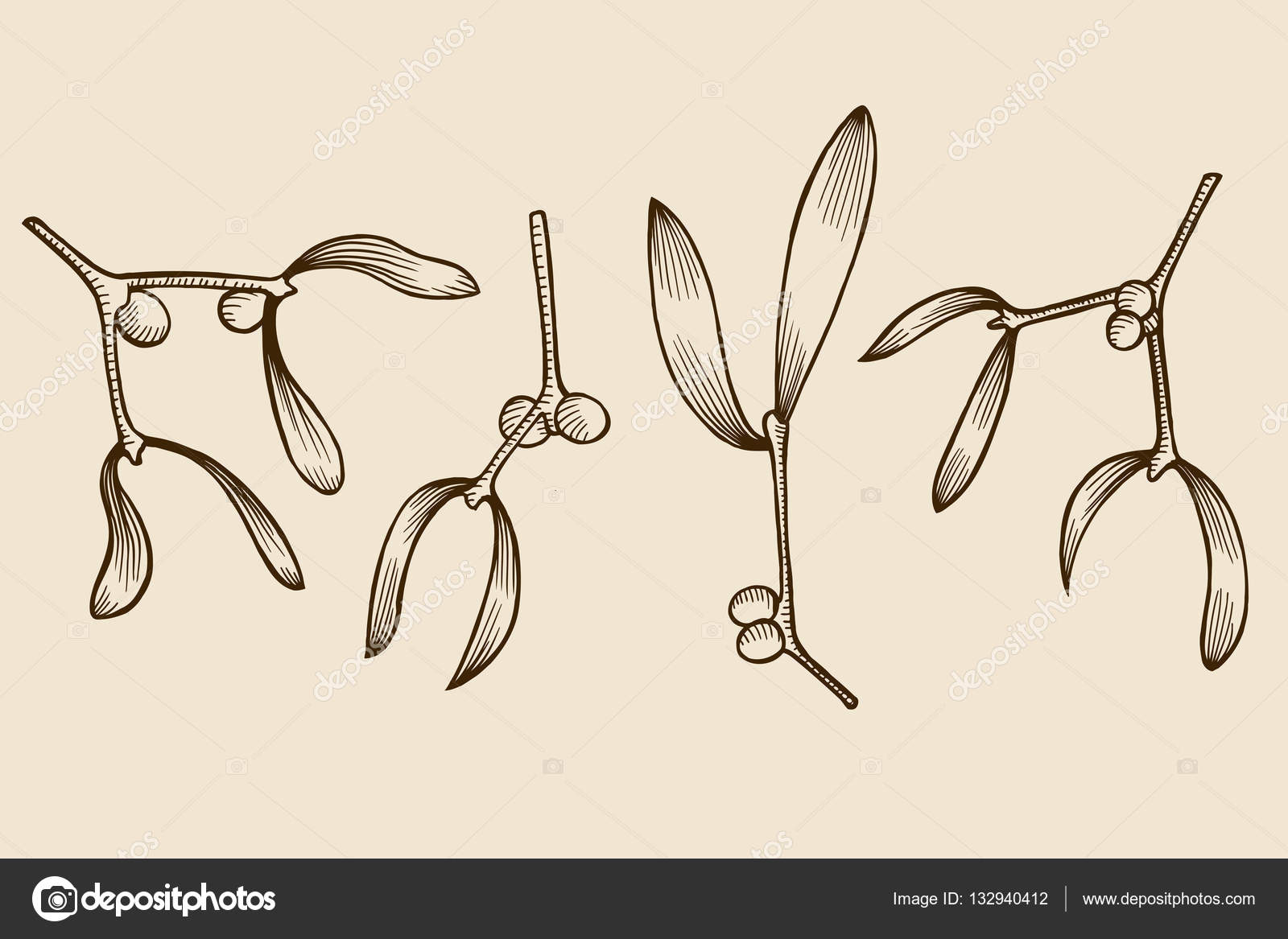 1600x1167 Christmas Mistletoe Branch Drawing Stock Vector Frescomovie