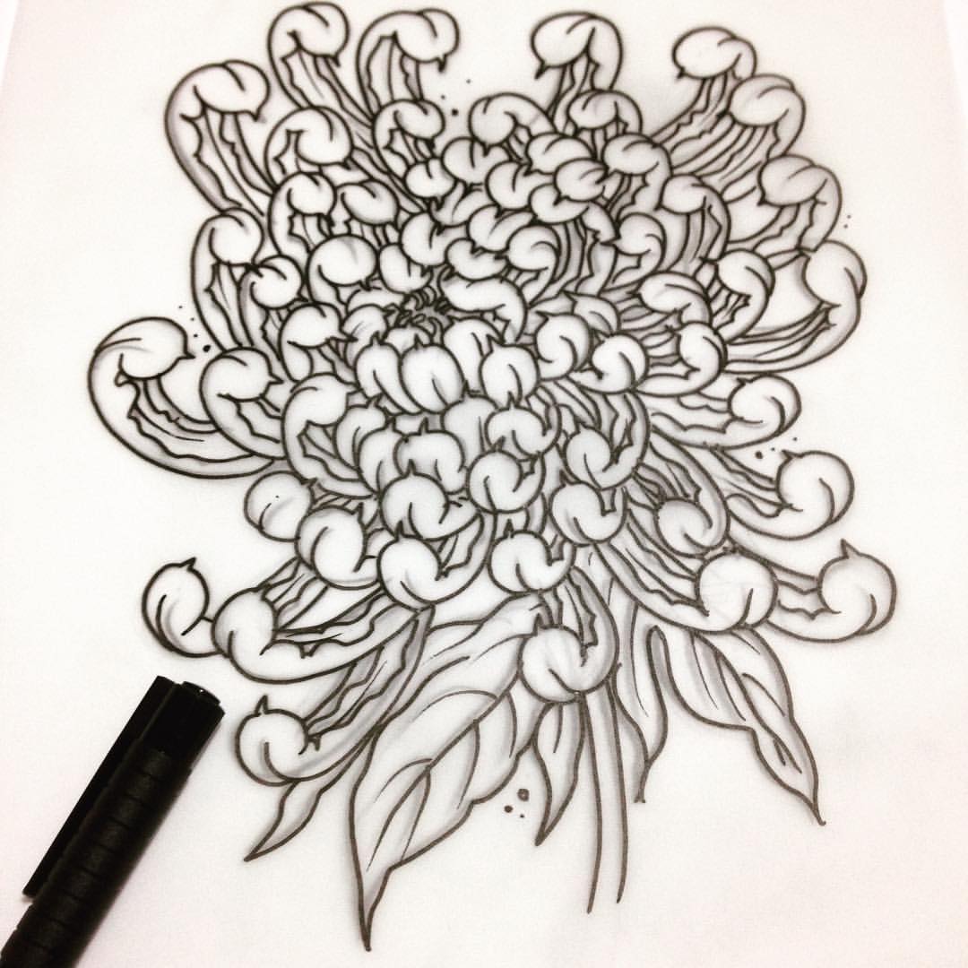 1080x1080 Chrysanthemum Beautiful Image Drawing Hoa