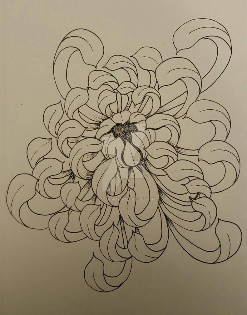 791x1011 Chrysanthemum Flower By Kaylababe75