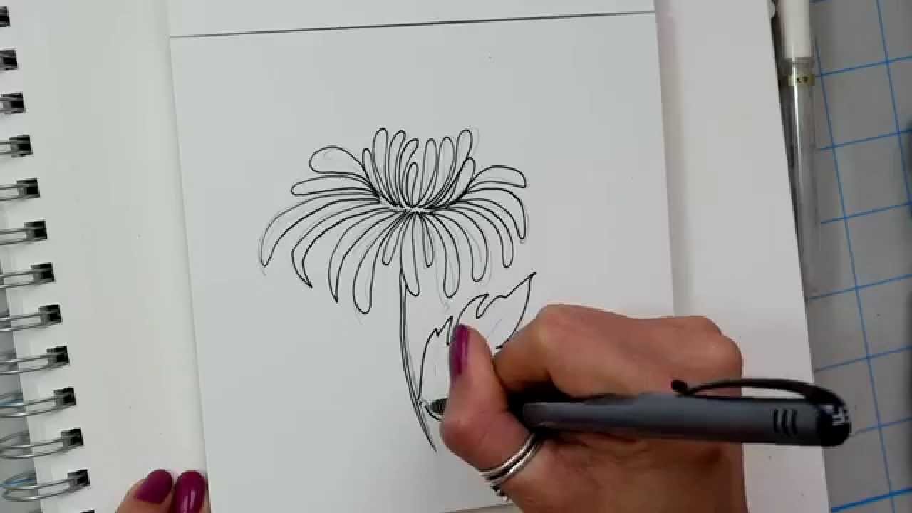 1280x720 How I Draw A Chrysanthemum Flower