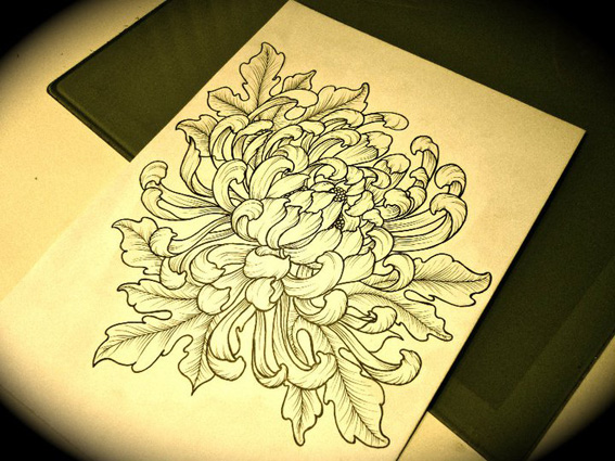 567x425 Visit The Chrysanthemums Flower