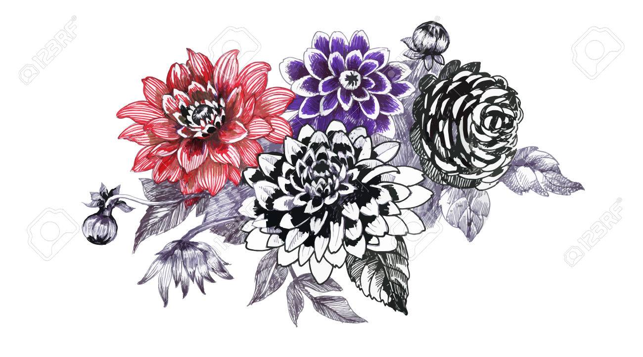 1300x722 Hand Drawing Chrysanthemum Flowers Sketch Royalty Free Cliparts