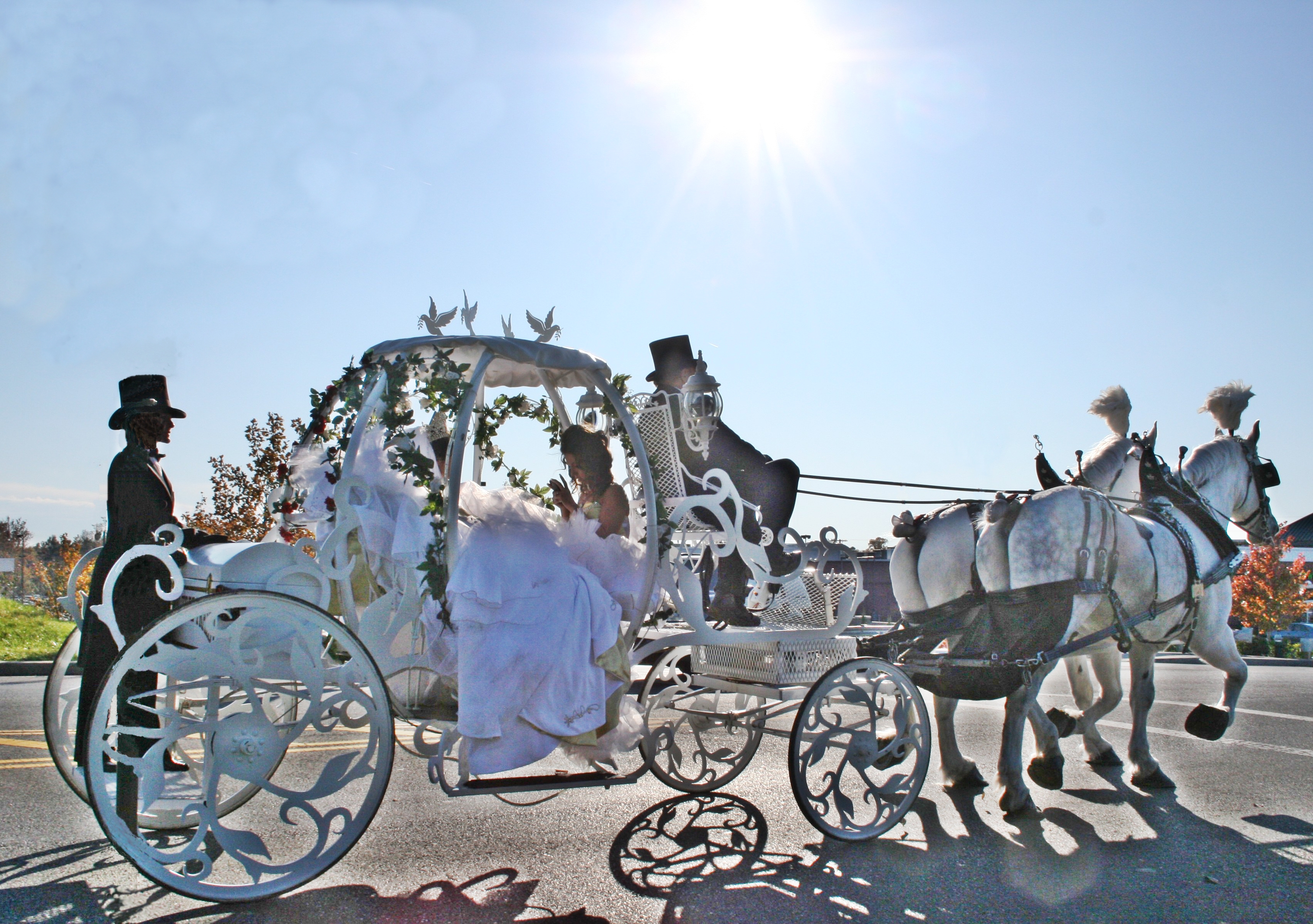3407x2397 Cinderella Carriage Scene From My Big Fat American Gypsy Weddings