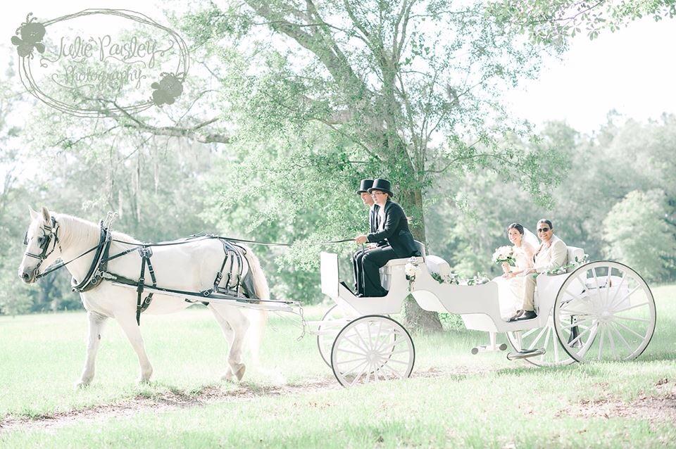 960x638 Cinderella Coach Amp Classic Horse Carriage Available For Weddings