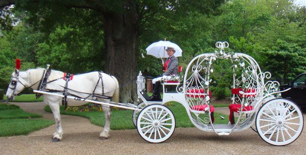 600x305 Horse Amp Carriage Cinderella Carriage Specialty Transportation
