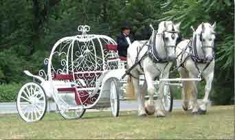 342x204 Our Cinderella Pumpkin Carriage That Services The Metro New York