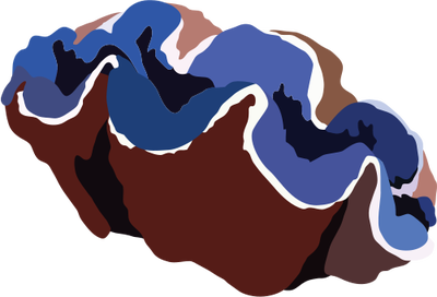400x272 This Giant Clam Is Listed As Vulnerable Due To Overfishing. This