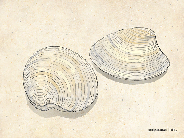 600x450 Illustration Clams Blog.designosaur.us