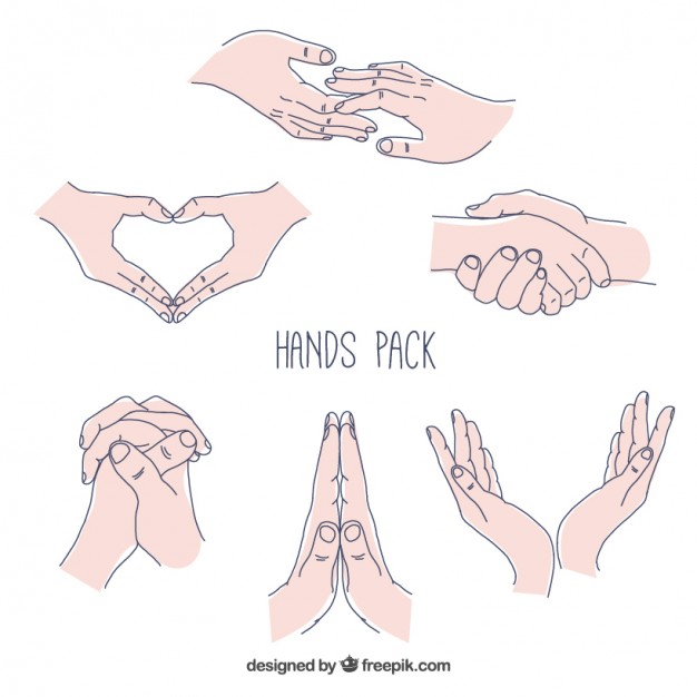 626x626 Hands Vectors, Photos And Psd Files Free Download