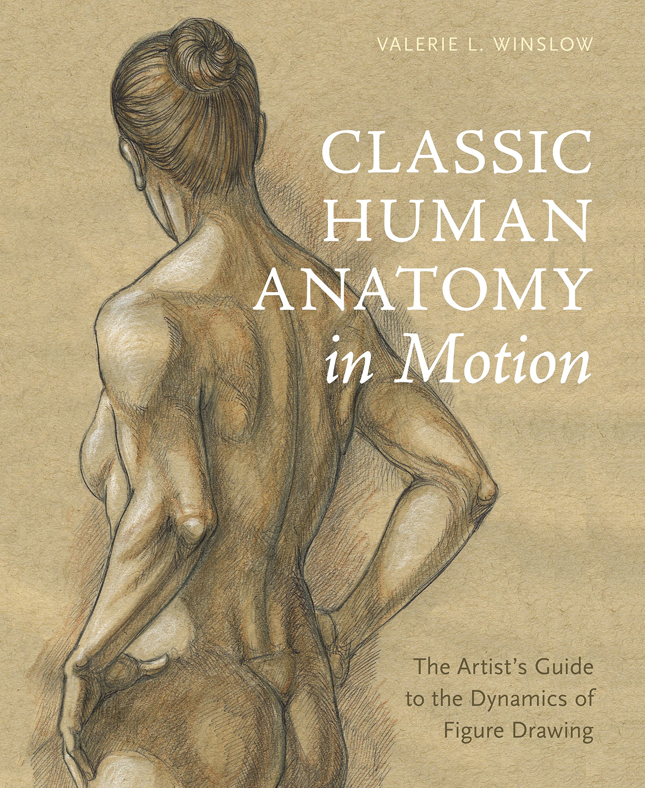 2095x2560 Classic Human Anatomy In Motion Artist's Guide To