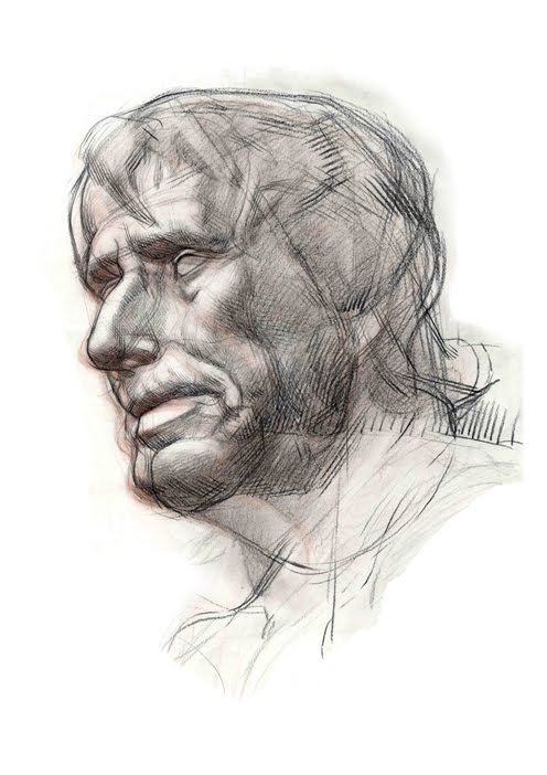 496x702 Kirsten Rosenkrants Grann Portfolio Classical Drawing