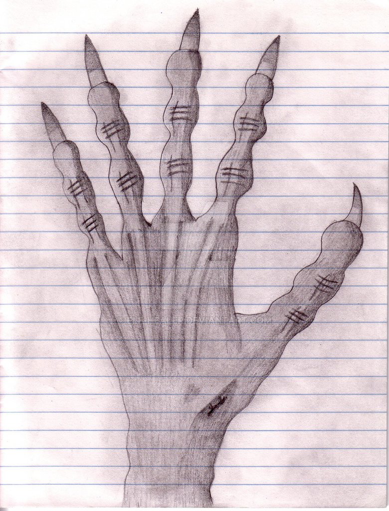 780x1024 Dragon Claw By Elf Healer