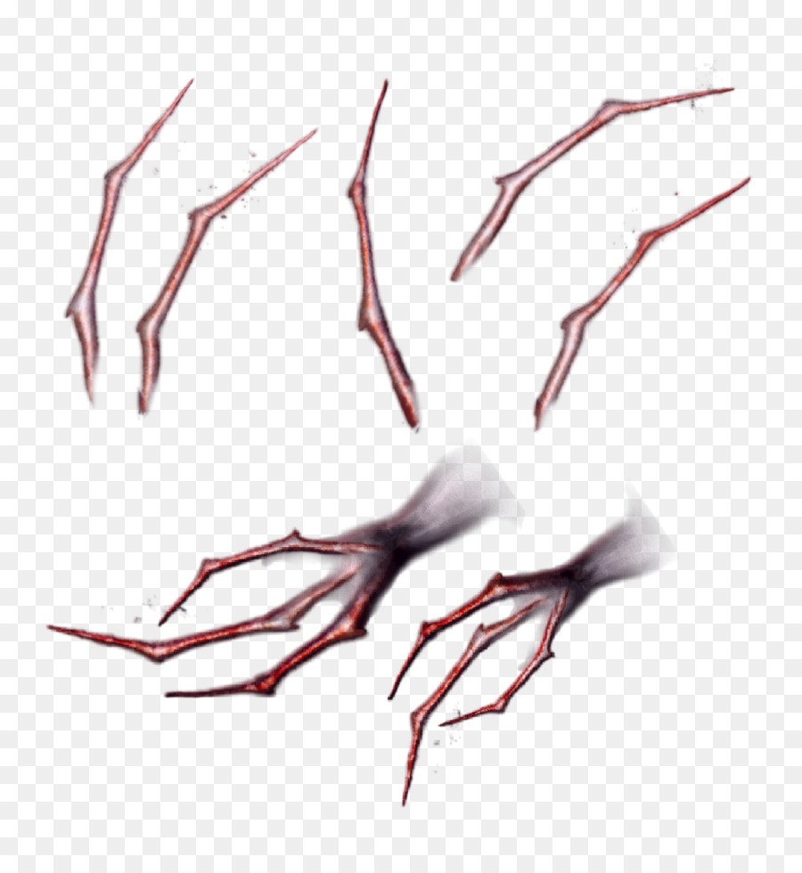 900x980 Nail Art Claw Drawing