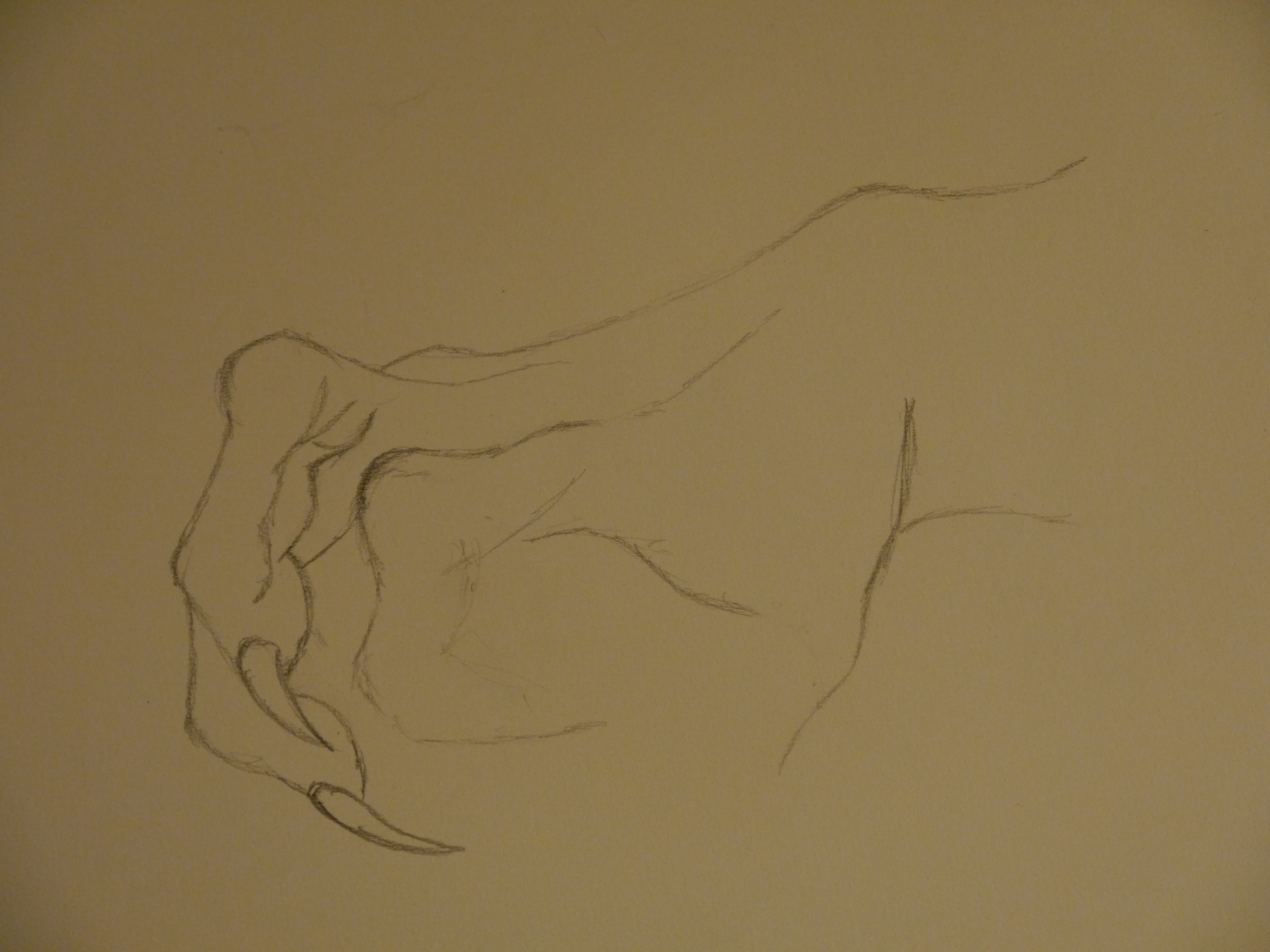 4608x3456 Sss Drawing Tutorials Dragon Claw Tutorial