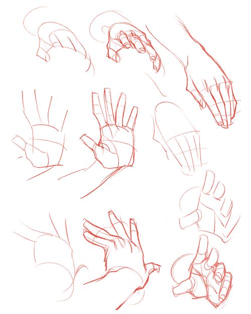 500x625 Image Result For Anatomy Tumblr Tutorial Kv Hand
