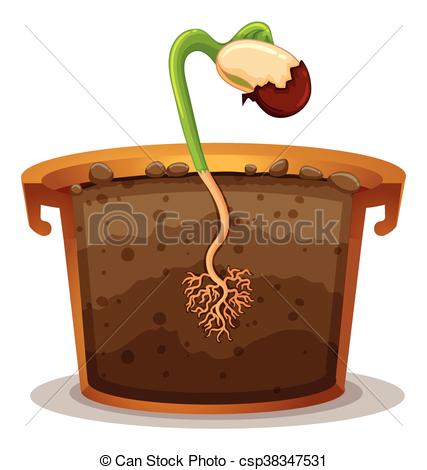 427x470 Growing Plant In Clay Pot Illustration Vectors