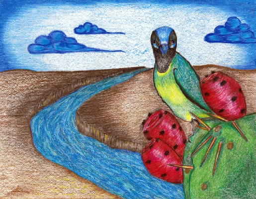 515x400 Texas Clean Rivers Program