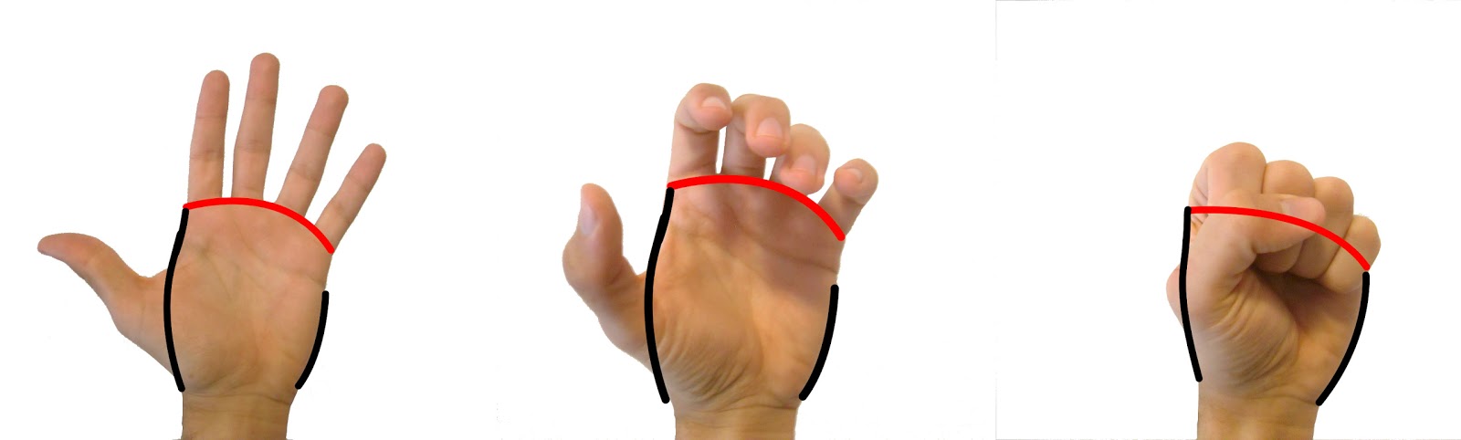 1600x482 How To Draw A Hand