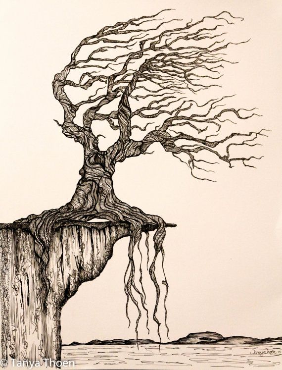 570x747 Ink Drawing,ged To Perfection, Wind Blown Tree Poised On