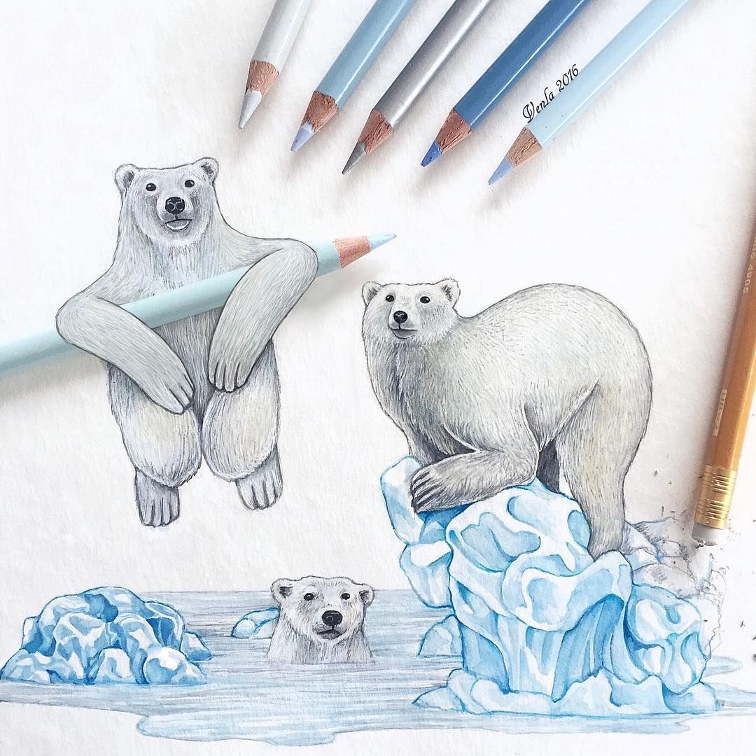 1080x1080 Polar Bears Inspired By Climate
