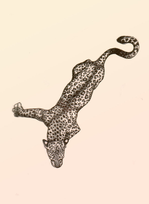 600x824 Leopard Climbing By Whodovoodoo